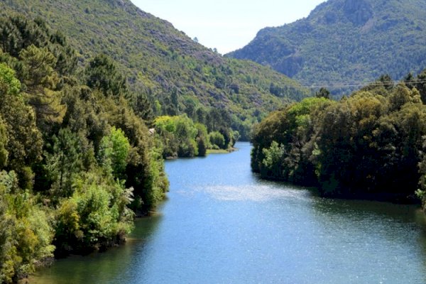Sampolu